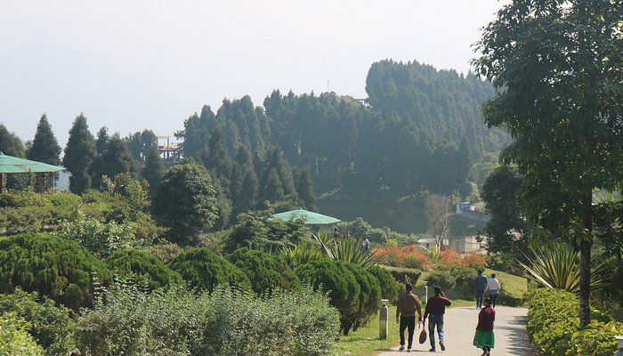 Tour Guide View